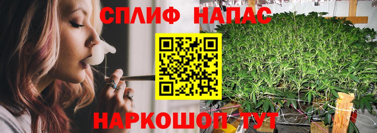 Конопля SATIVA & INDICA Гусев